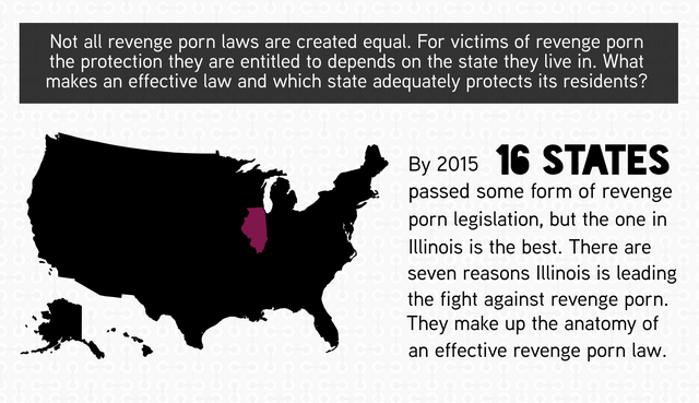 Infographic: The Anatomy of an Effective Revenge Porn Law - Cyber Civil ...